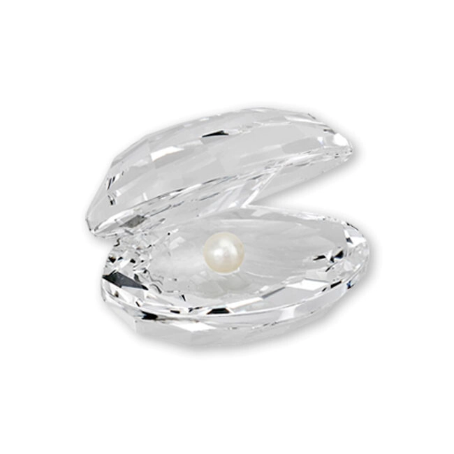 MUESTRARIO CARACOL SHELL