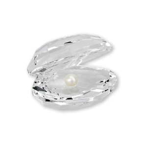 MUESTRARIO CARACOL SHELL