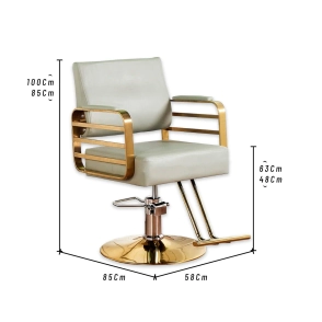 SILLÓN DE PELUQUERÍA BOSTON | BLANCO